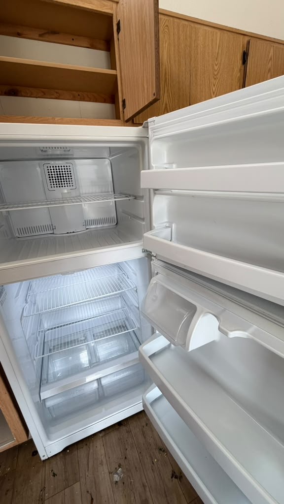 Refrigerator interior after cleaning — shelves and compartments spotless