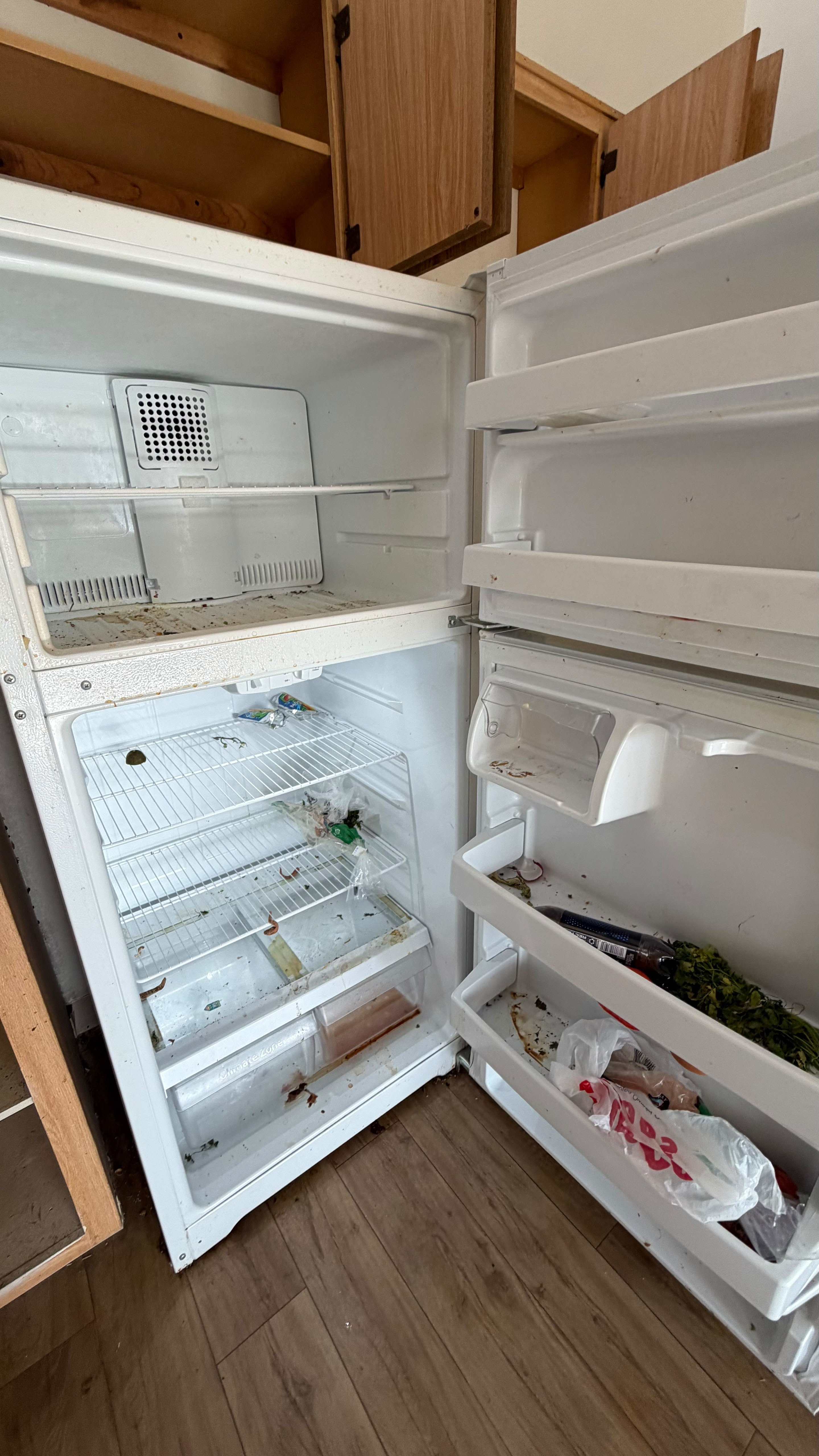Refrigerator interior before cleaning
